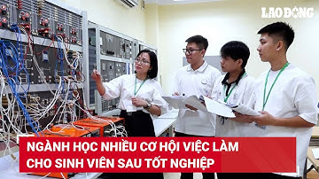 Ngành học nhiều cơ hội việc làm cho sinh viên sau tốt nghiệp | Báo Lao Động