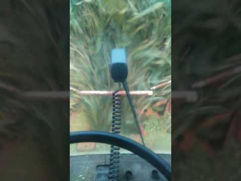 Maise Silage 2016