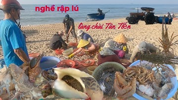Ngư dân kiếm tiền triệu nhờ nghề rập lú, hải sản tươi sống đánh bắt trong ngày | Nam Lagi