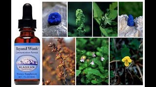 Alaskan Essences ‘Beyond Words - Communication Formula’