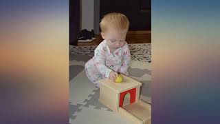 Elite Montessori Object Permanence Box with Tray and Ball review