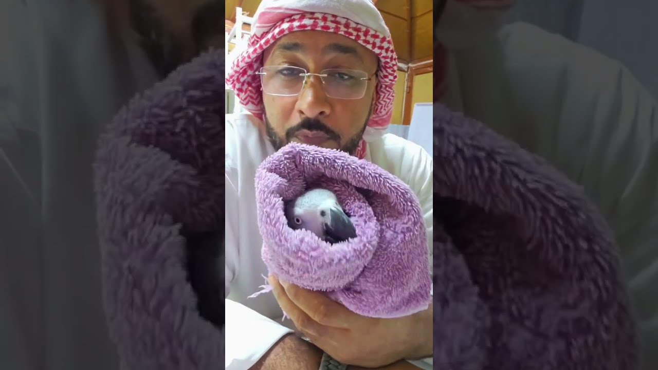 اذا عندك طير مريض او اتشوف تصرفاتهم غير طبيعيه لا تنتظر الى أن تسوء حالته 