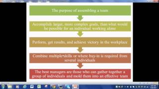 Organizational Behavior   Chapter 9