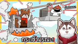 กระเช้ามรณะ เร็วที่สุดในโลก! หมาสติแตกไปถึงปลายทาง! 🐾