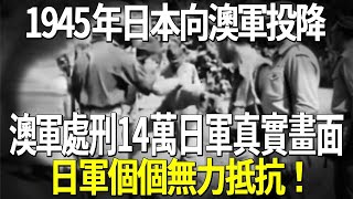 1945年日本向澳軍投降,澳軍處刑14萬日軍真實畫面,日軍個個無力抵抗!