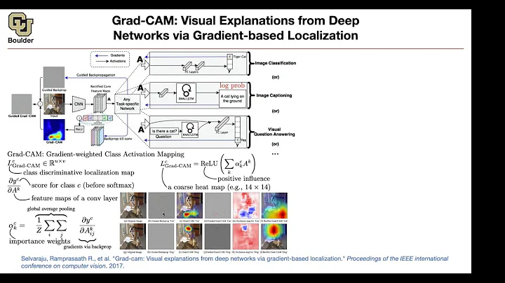 Grad-CAM | Lecture 28 (Part 2) | Applied Deep Learning - DayDayNews