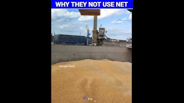 Why Grain Ships Don