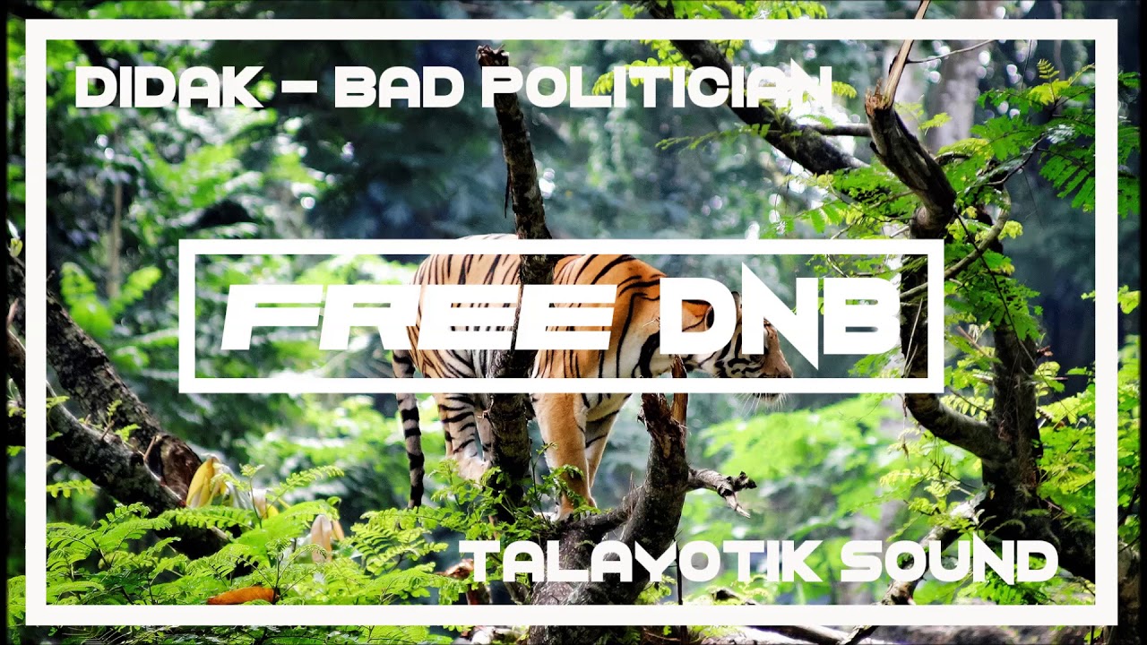 free dnb loops Didak - Bad Politician - Talayotik Recordings {Free Download}
