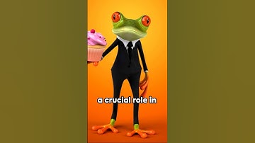 Thumbnail of Coqui Frog: The Charming Chirper's of Puerto Rico #animals #love #shorts
