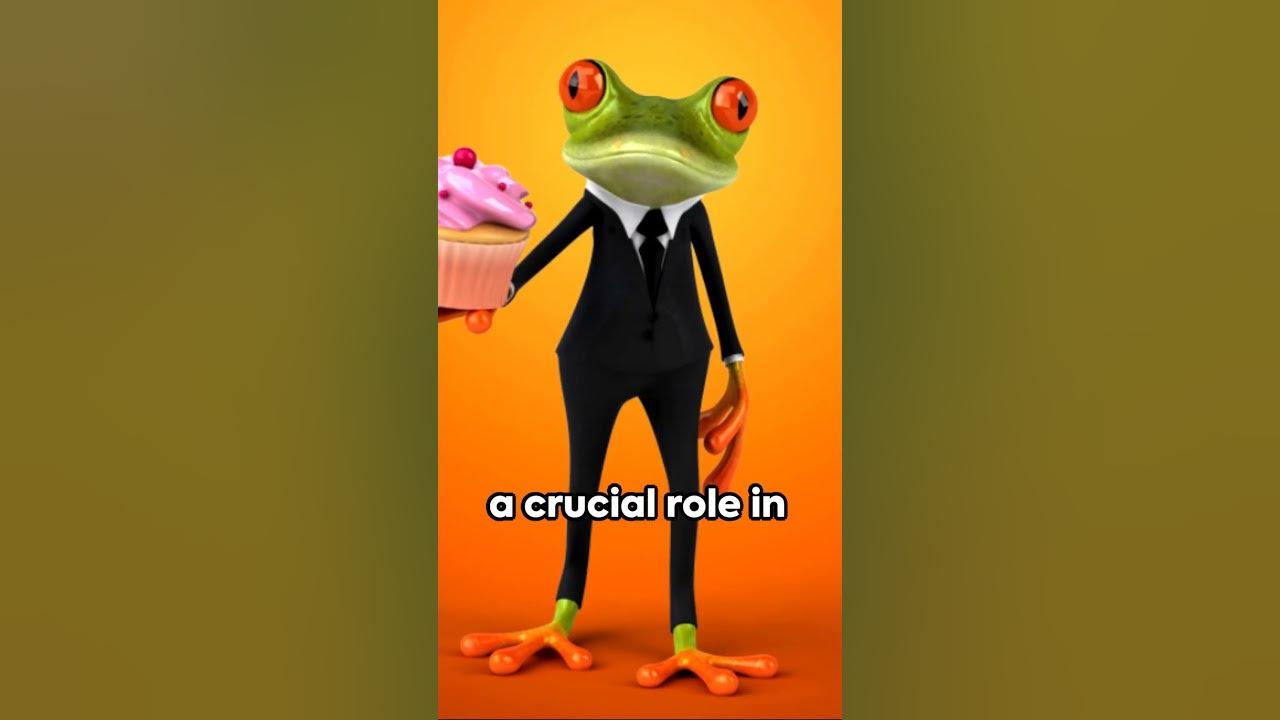 Coqui Frog: The Charming Chirper's of Puerto Rico #animals #love #shorts Coqui Frog: The Charming Chirper's of Puerto Rico #animals #love #shorts