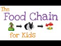 The Essential Role Of The Food Chain In Nature