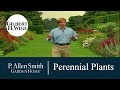 Growing Perennial Plants & Flowers | Garden Home (713)