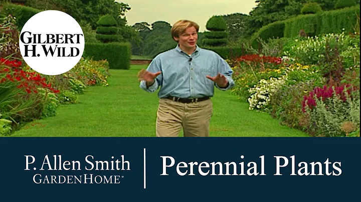 Growing Perennial Plants & Flowers | Garden Home (...