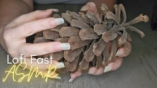 Lofi Fast Asmr | Long Natural Nail Tapping and Scratching