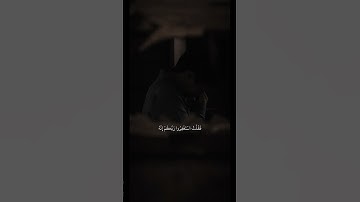 شريف مصطفى | سورة نوح آية ١٠-١٢