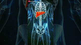 Alcohol Effects on LIVER | Side effects of Alcohol #liver #alcoholproblem  #liverdisease