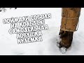 Поймал соболя на колбасу. Самодельная КУЛЕМКА