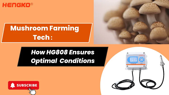 Mushroom Farming Made Easy with Hg808 Temperature and Humidity Transmitter