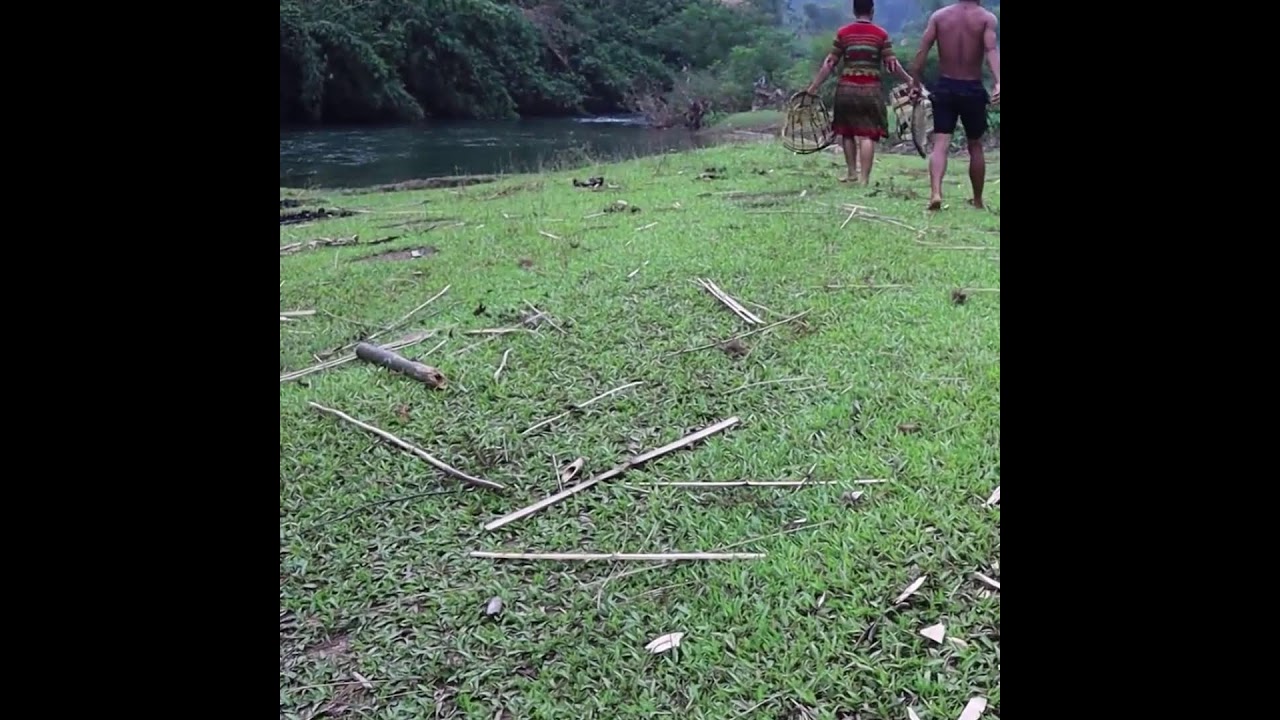 Survival Guide: Finding Food and Water in the Forest     