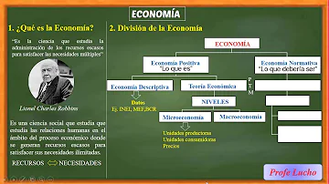¿Qué es la división económica?
