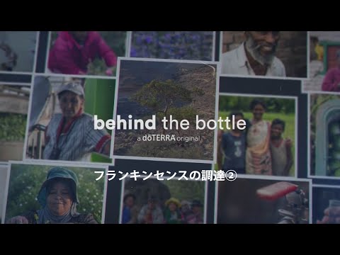 Behind the Bottle：フランキンセンスの調達②