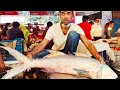 Gigantic Indian Salmon Fish Cutting Skills In Fish Market | Big Fish Cutting Live