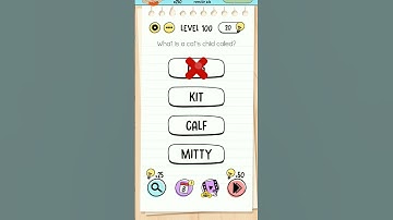 What is a cat child called? brain test level 100. #brain #brain test #100