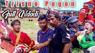 Jaranan Trisno Pegon Full Ndadi Sak penotone || Live Perkebunan Gunung Raung #jaranan 