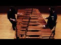 Palpitations - Marimba Duet