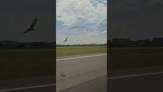 decolare Aeroport Băneasa Ryanair