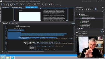 Windows 8 Apps  with C# - Part 15: Implementing Type Converters