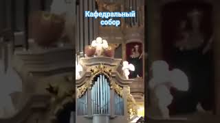 Калининград. #калининград #путешествия # орган# кафедральный собор