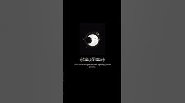 فلينظر الإنسان إلى طعامه ✨سورة عبس ✨ طارق محمد ✨ كروما قرآن كريم خلفية سوداءblack ground 🖤 #quran