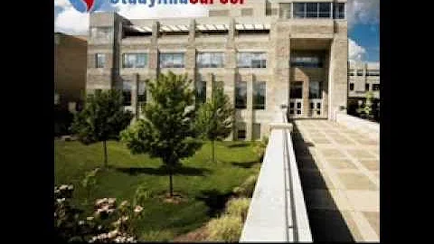 10 Best Online MBA Programs In The World