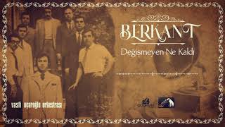 Berkant - Değişmeyen Ne Kaldı (1970) Resimi