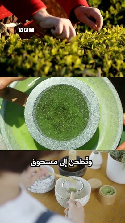    
 - نشر قبل 6 دقيقة