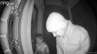 Halloween Candy Thieves