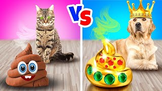POOR CAT vs RICH DOG || Pets were adopted by Rich Family by Challenge Accepted