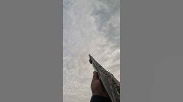 Beretta a400 xtreme plus cal20 #music #anime #phonk #genshinimpact #nature #hunting #huntingchannel