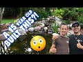 15-Year Old Builds an AMAZING BACKYARD POND!