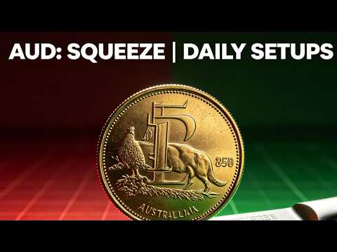 AUD/USD Collapse Before RBA? 0.7036 Is the Pivot—3 Setups #AUDUSD #AussieDollar #Forex #Trading #RBA