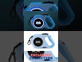 Light Up Night Walks – LED Retractable Dog Leash!