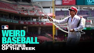 Dietrich handles bees in this week's Weird Baseball! (5/1 to 5/8)