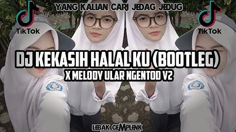 Dj KEKASIH HALAL WALI BAND X MELODY ULAR V2 ENAKEUN VIRALL TIKOK 2023 (BOOTLEG)