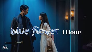 Blue Flower - Lia (ITZY) / 1 Hour Loop / Romanized Lyrics //리아 (LIA) (ITZY) - 푸른꽃 / 1시간