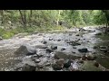 Day out at the creek when it’s has been raining