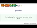 Pelicans – English Pronunciation, Definition, Synonyms, Antonyms, Example Sentence