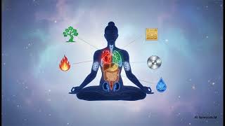 The Five Elements or Phases Wealth