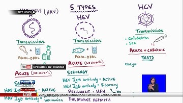 Pencegahan Hepatitis A - NET NEWS