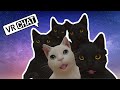 We Raided the Black Cat (the world) - VRChat